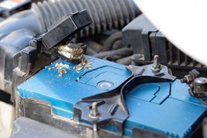 Anti-corrosion Pads | Meineke Car Care | Tacoma, WA