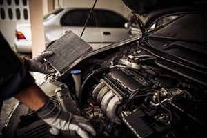 Meineke Car Care | Fuel Filter | Olympia