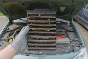 Meineke Car Care | Cabin Air Filter | Tacoma WA