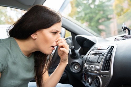 Cabin Air Filter: Breath Easy With Regular Manitenance